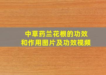 中草药兰花根的功效和作用图片及功效视频