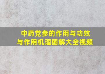 中药党参的作用与功效与作用机理图解大全视频