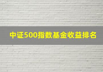 中证500指数基金收益排名