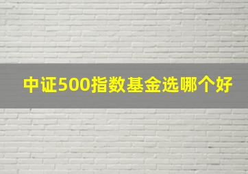 中证500指数基金选哪个好