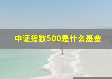 中证指数500是什么基金