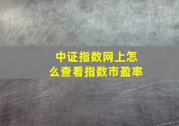 中证指数网上怎么查看指数市盈率