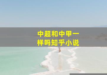 中超和中甲一样吗知乎小说