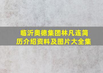 临沂奥德集团林凡连简历介绍资料及图片大全集