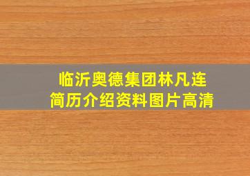 临沂奥德集团林凡连简历介绍资料图片高清