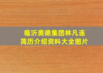 临沂奥德集团林凡连简历介绍资料大全图片