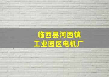 临西县河西镇工业园区电机厂