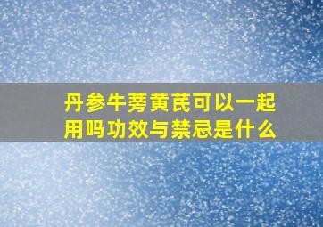 丹参牛蒡黄芪可以一起用吗功效与禁忌是什么