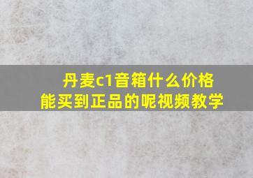 丹麦c1音箱什么价格能买到正品的呢视频教学