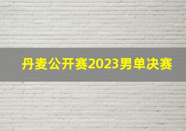 丹麦公开赛2023男单决赛