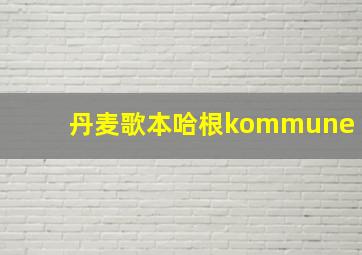 丹麦歌本哈根kommune