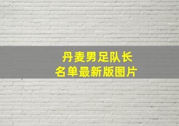 丹麦男足队长名单最新版图片