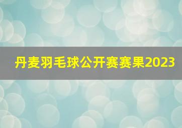 丹麦羽毛球公开赛赛果2023