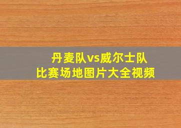 丹麦队vs威尔士队比赛场地图片大全视频