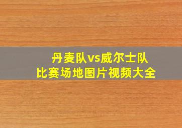 丹麦队vs威尔士队比赛场地图片视频大全