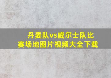 丹麦队vs威尔士队比赛场地图片视频大全下载