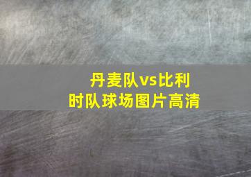 丹麦队vs比利时队球场图片高清