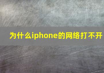 为什么iphone的网络打不开