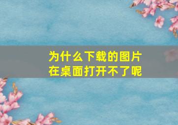 为什么下载的图片在桌面打开不了呢