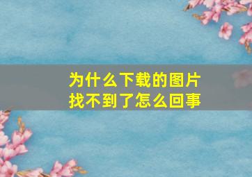 为什么下载的图片找不到了怎么回事