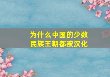 为什么中国的少数民族王朝都被汉化