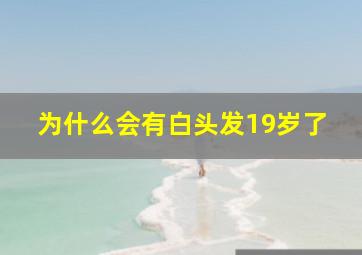 为什么会有白头发19岁了