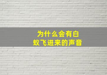 为什么会有白蚁飞进来的声音