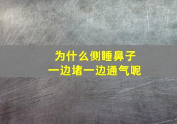 为什么侧睡鼻子一边堵一边通气呢