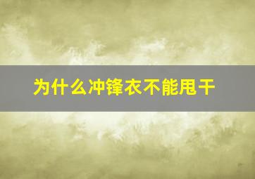 为什么冲锋衣不能甩干