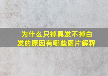 为什么只掉黑发不掉白发的原因有哪些图片解释