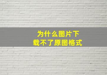 为什么图片下载不了原图格式