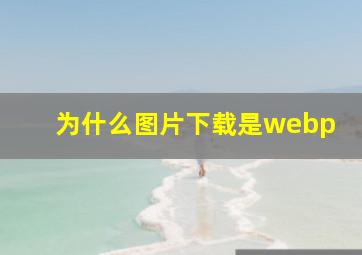 为什么图片下载是webp