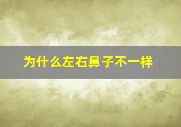 为什么左右鼻子不一样