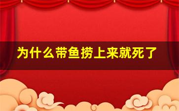 为什么带鱼捞上来就死了