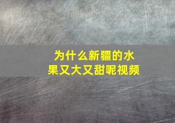 为什么新疆的水果又大又甜呢视频