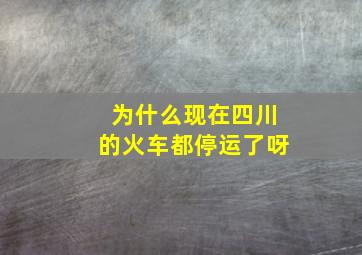 为什么现在四川的火车都停运了呀