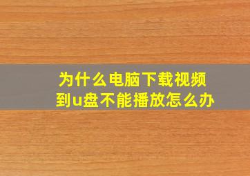 为什么电脑下载视频到u盘不能播放怎么办