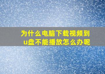 为什么电脑下载视频到u盘不能播放怎么办呢