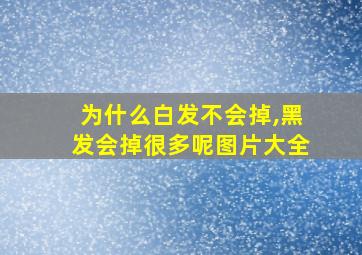 为什么白发不会掉,黑发会掉很多呢图片大全