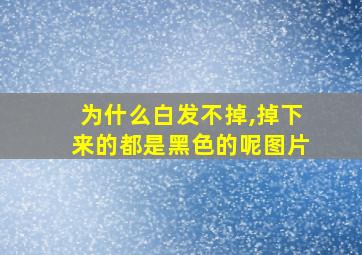 为什么白发不掉,掉下来的都是黑色的呢图片