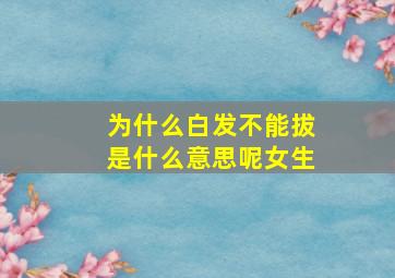 为什么白发不能拔是什么意思呢女生