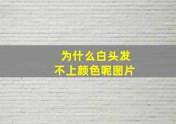 为什么白头发不上颜色呢图片