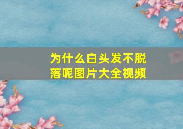 为什么白头发不脱落呢图片大全视频