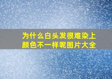 为什么白头发很难染上颜色不一样呢图片大全