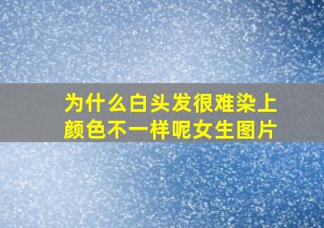 为什么白头发很难染上颜色不一样呢女生图片