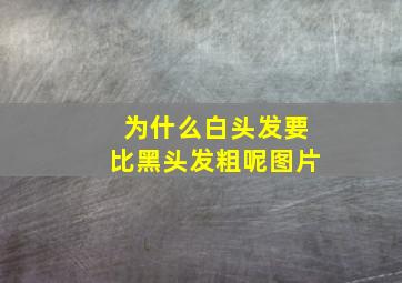 为什么白头发要比黑头发粗呢图片