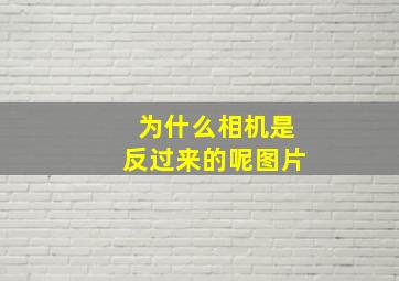 为什么相机是反过来的呢图片