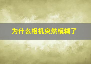 为什么相机突然模糊了