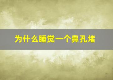 为什么睡觉一个鼻孔堵