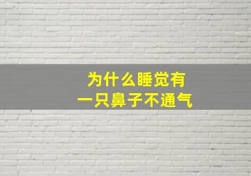 为什么睡觉有一只鼻子不通气